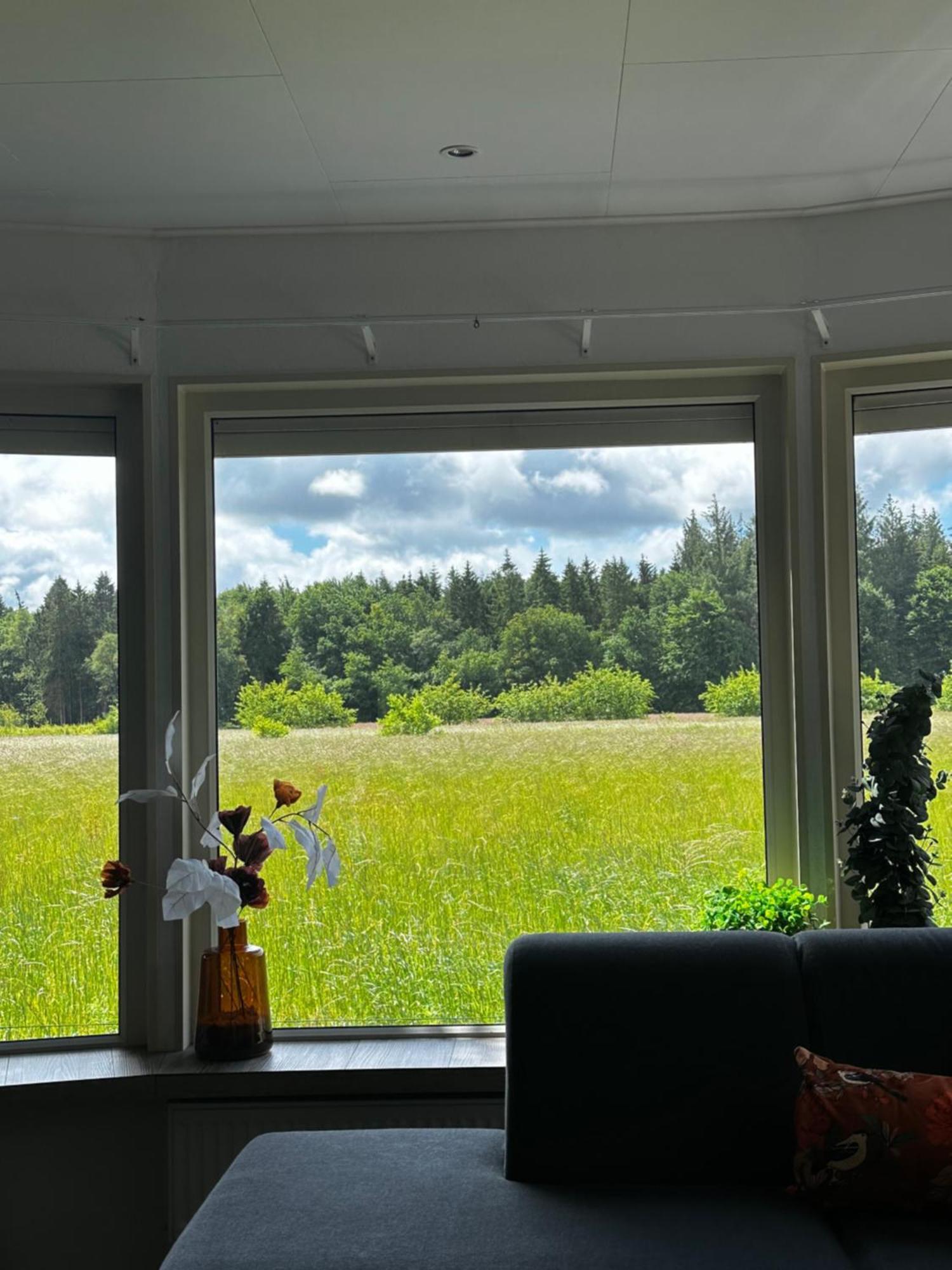 Luxe Chalet Met Uniek Vrij Uitzicht Op Rustig Park In Papenvoort Drenthe Esterno foto